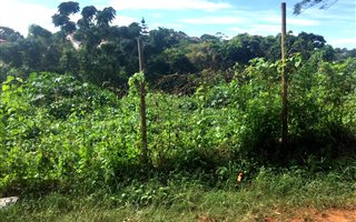 1115 m² Land available in Rose Hill