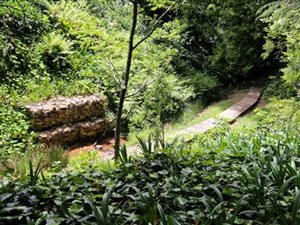 8443 m² Land available in Constantia