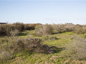 2 ha Land available in Langebaan