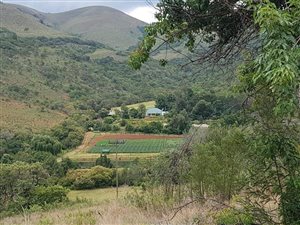 565 ha Farm in Lydenburg