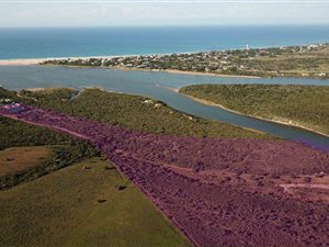 27 ha Farm in Humansdorp