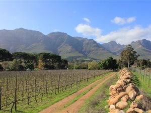 3 ha Farm in Stellenbosch Agricultural