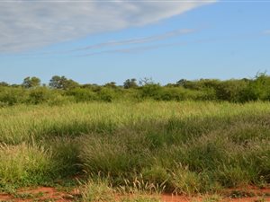 2760 ha Farm in Thabazimbi