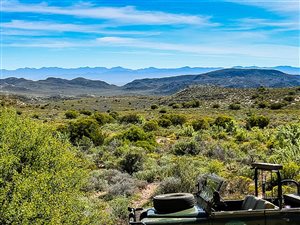 50 ha Farm in Oudtshoorn