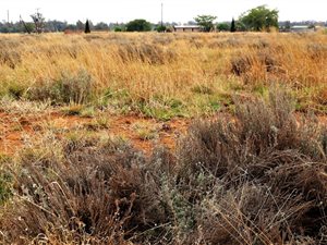 1980 m² Land available in Highbury