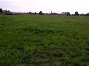 2.3 ha Farm in Endicott