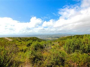 1085 m² Land available in Fernwood