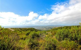 1085 m² Land available in Fernwood