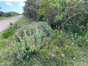 841 m² Land available in Cannon Rocks