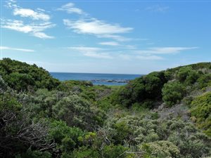 911 m² Land available in Bettys Bay