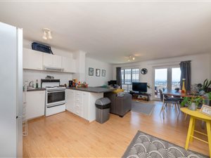 1 Bed Apartment in Vredehoek