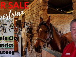 1.7 ha Farm in Marabeth