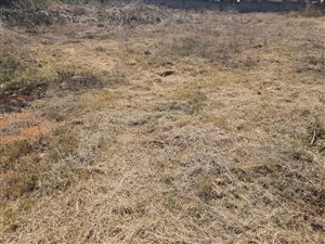 1800 m² Land available in Louis Trichardt