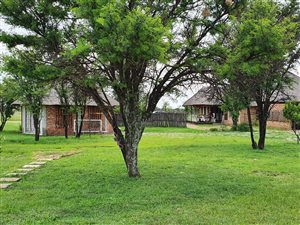63 ha Farm in Fochville