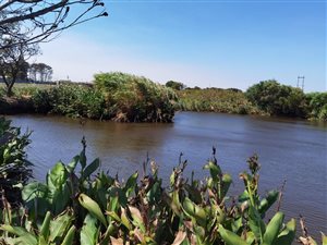 14 ha Farm in Philippi