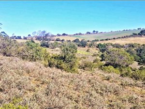 22 ha Farm in Klein Brak River