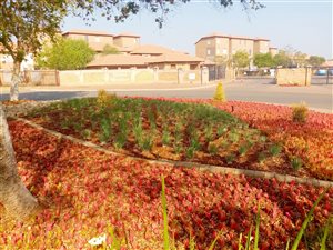 2 Bed Apartment in Hazeldean (Silverlakes Surroundings)