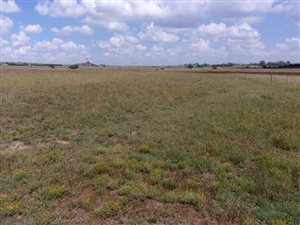 164 ha Farm in Brandfort