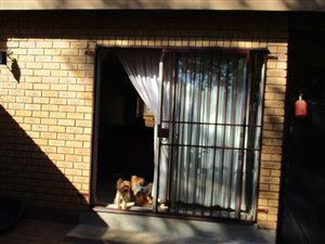 3 Bed Townhouse in Bo Dorp