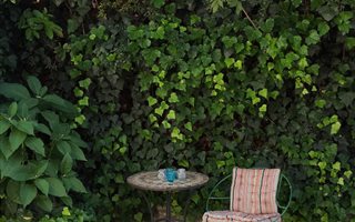 1 Bedroom Garden Cottage in Parktown