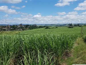 8.6 ha Farm in Fairbreeze