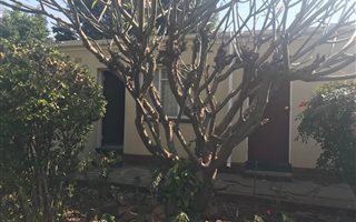 1 Bedroom Apartment in Colbyn