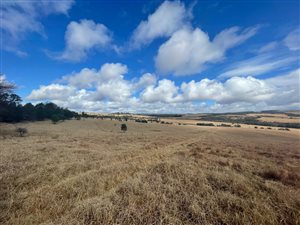 494 ha Farm in Stutterheim