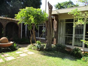 5 Bed House in Arcadia
