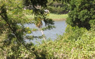 510 m² Land available in Seafield