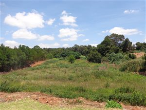 1.5 ha Land available in Evaton
