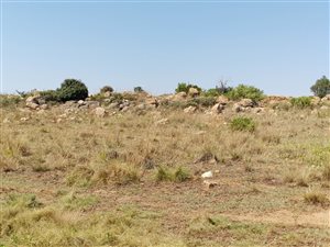 36.9 ha Land available in Klipkop