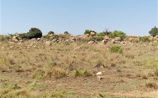 36.9 ha Land available in Klipkop