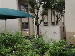 Bachelor apartment in Glen Austin
