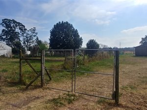 4.3 ha Farm in Cato Ridge