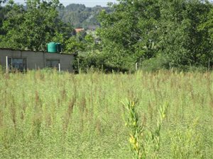 2.1 ha Farm in Theoville