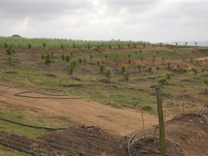 7.8 ha Farm in Oribi Gorge