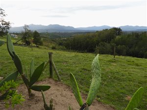 4.3 ha Farm in Knysna Central