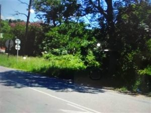4405 m² Land available in Ashburton