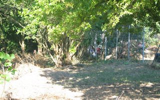 789 m² Land available in Darnall