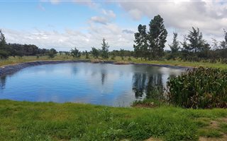 21 ha Farm in Malmesbury