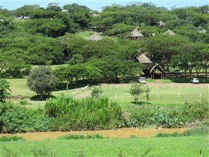 9 ha Land available in Scottsville