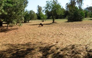 1 ha Land available in Zonnehoewe