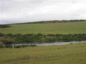 610 ha Farm in Alexandria