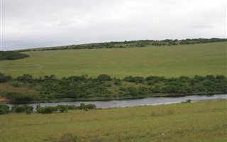 610 ha Farm in Alexandria