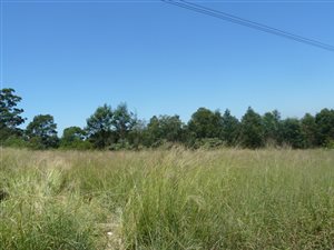 148.4 ha Land available in Hammarsdale