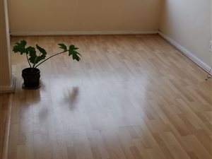 1 Bed Flat in Morningside