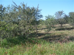 1.8 ha Land available in Christiaanville AH