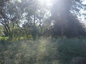 1.8 ha Land available in Christiaanville AH