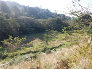 2.4 ha Land available in Everton