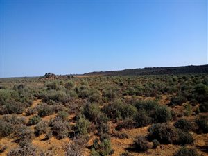 4015.6 ha Farm in Calvinia